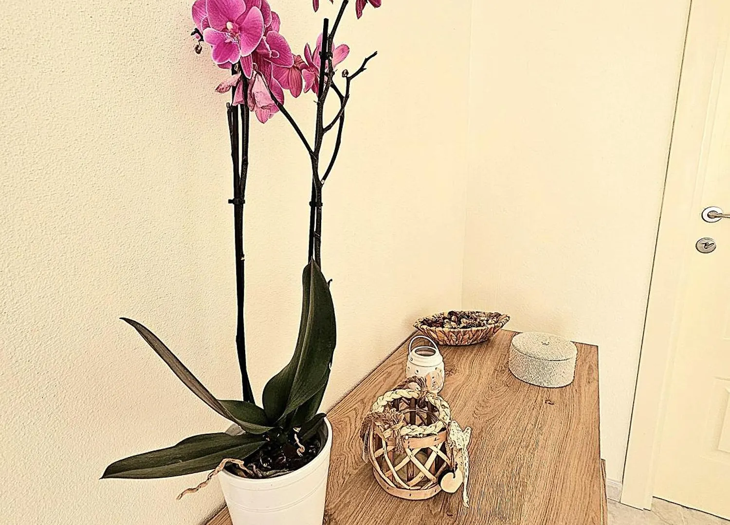 Villa Mary Guest House Quartu Sant'Elena